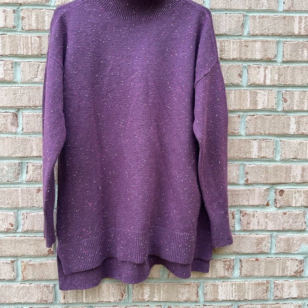 LOFT Burgundy/Purple Women's Sweater